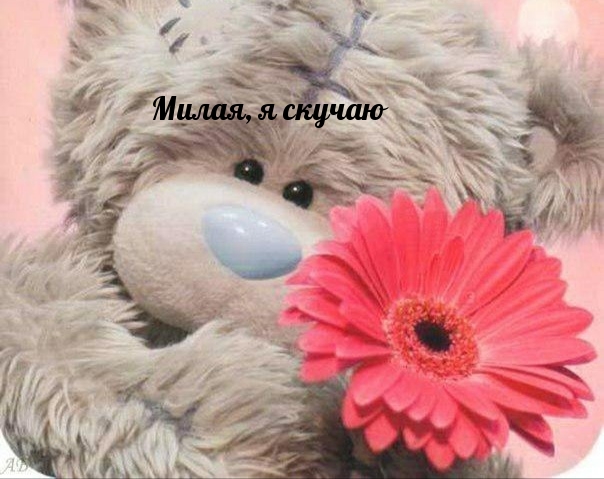 Милая, я скучаю