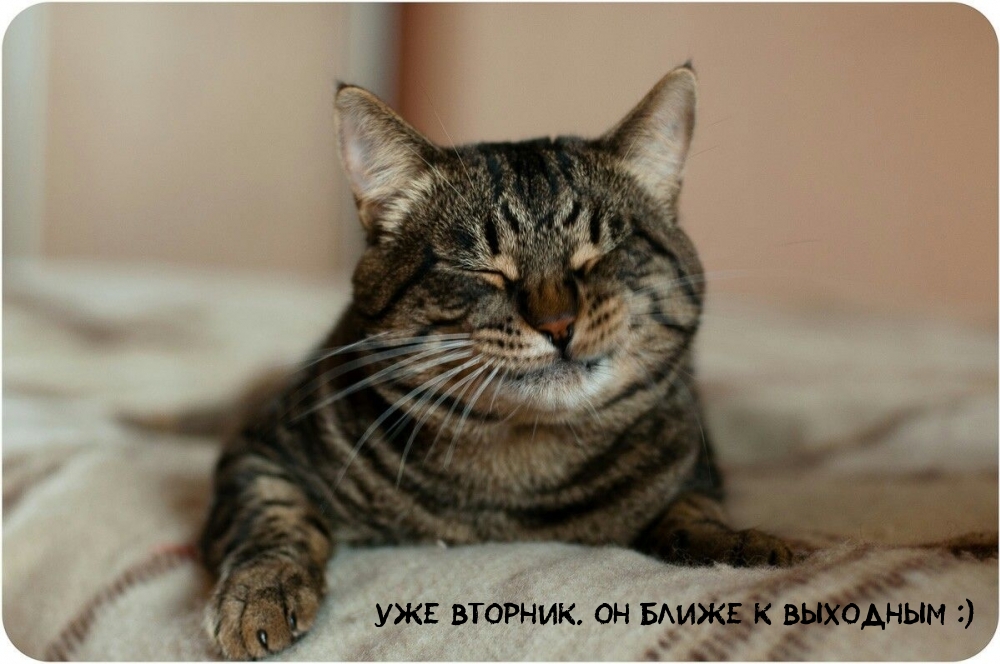 Уже вторник. Он ближе к выходным :)