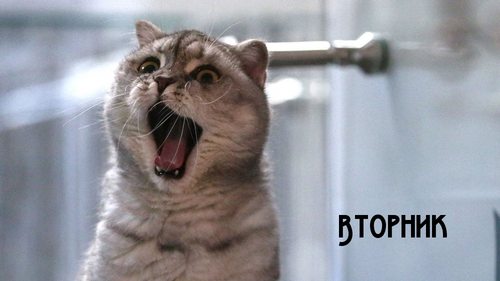 Вторник