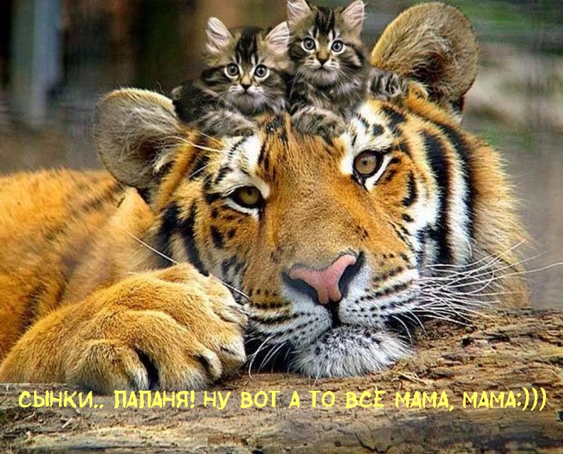 Ну вот а то все мама, мама:)