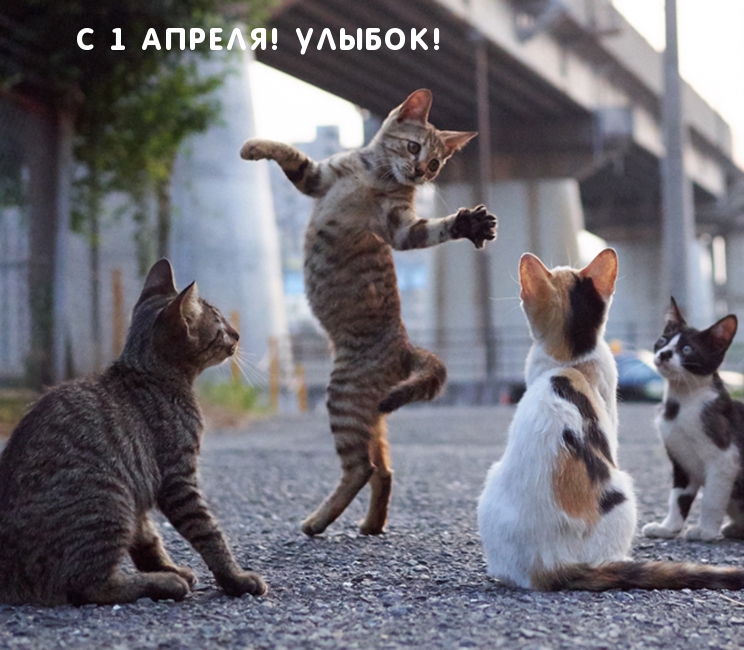 С 1 Апреля! Улыбок!