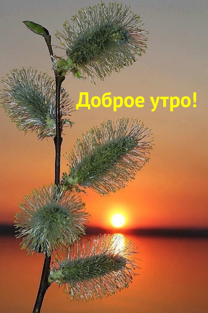 Доброе утро!