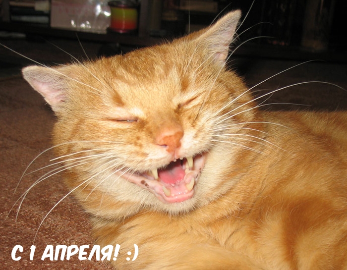 Картинки с надписями.  С 1 апреля! :).