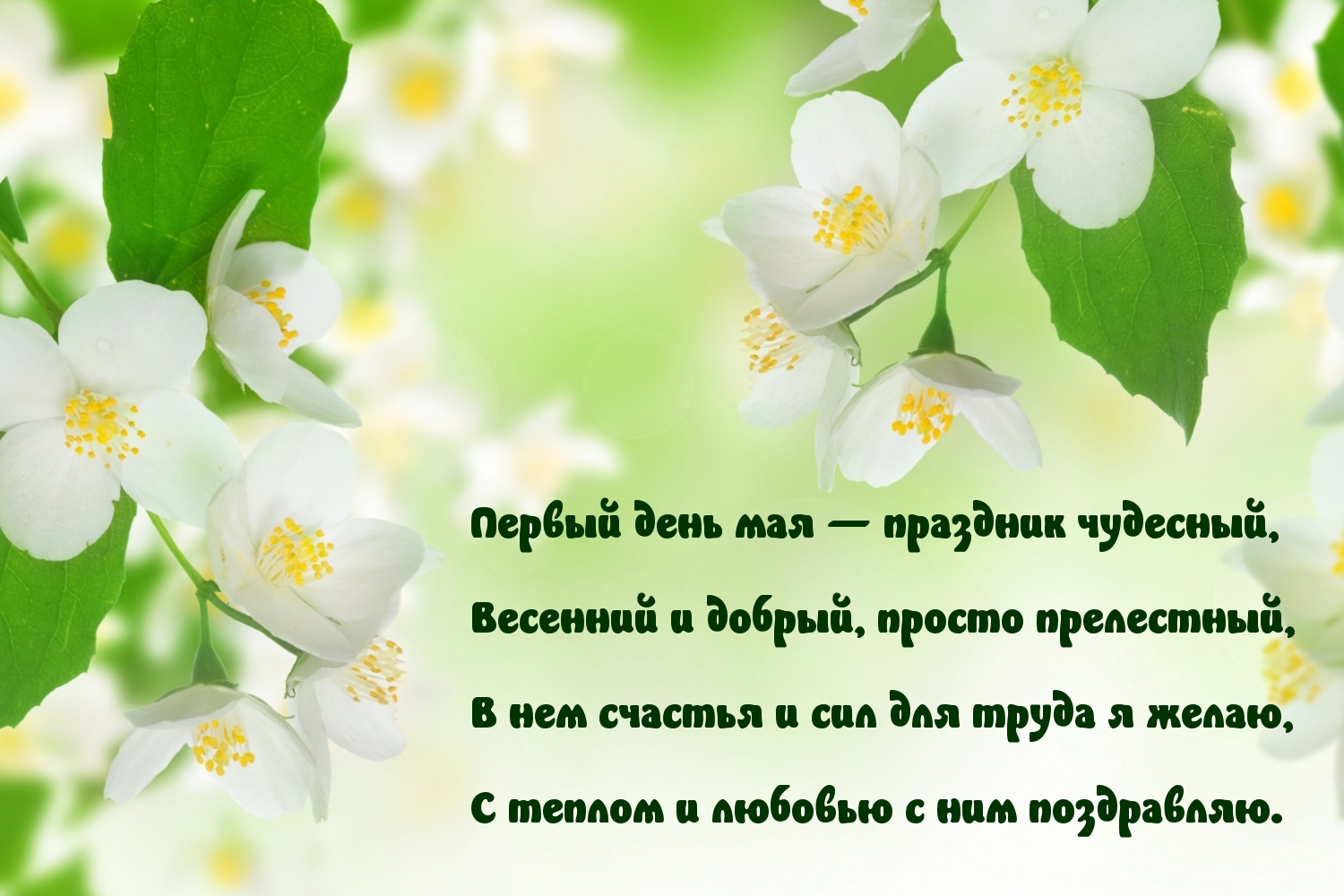 Первый день мая — праздник чудесный