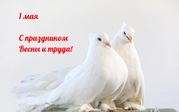 1 мая С праздником Весны и труда!