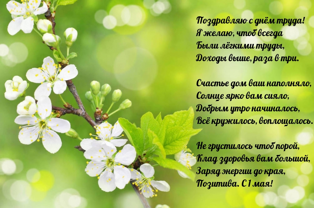 Поздравляю с днём труда! Стихотворение