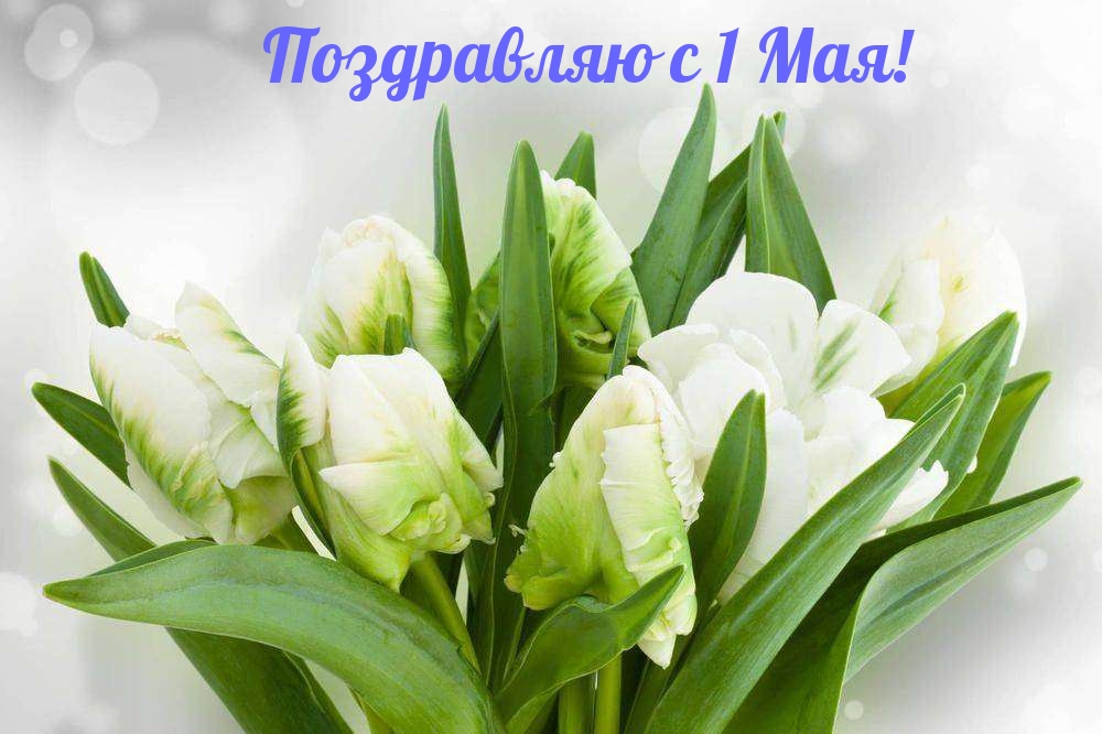 Поздравляю с 1 Мая!
