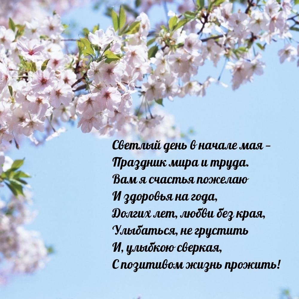 Светлый день в начале мая — Праздник мира и труда.