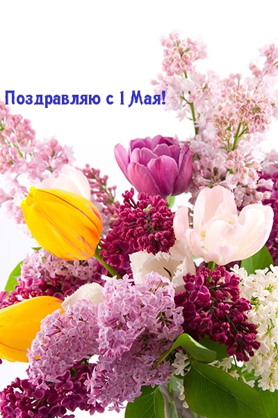 Поздравляю с 1 Мая!