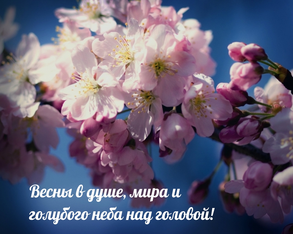 Весны в душе, мира и голубого неба над головой!