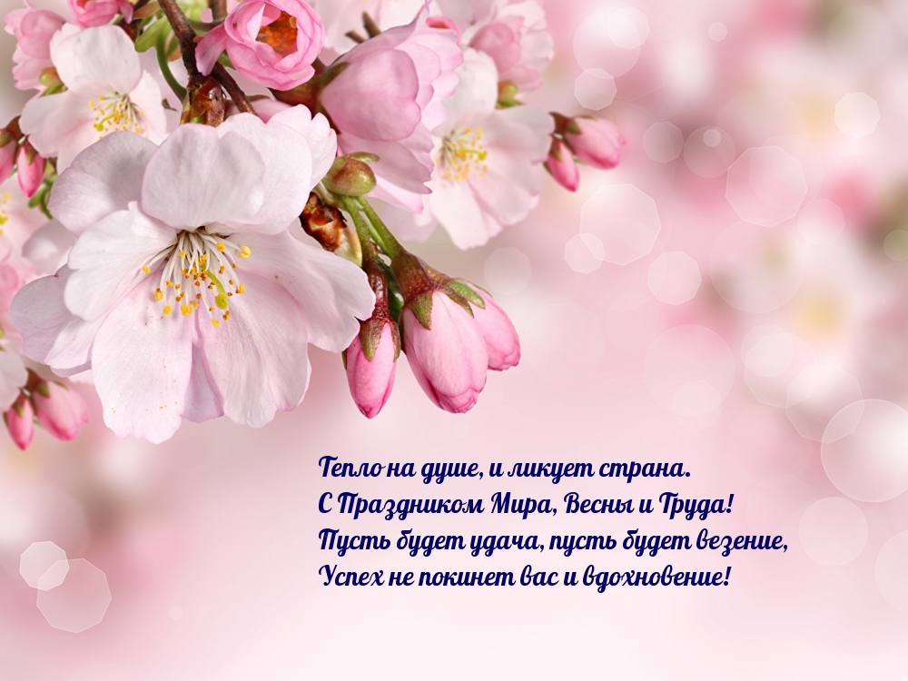 С Праздником Мира, Весны и Труда!
