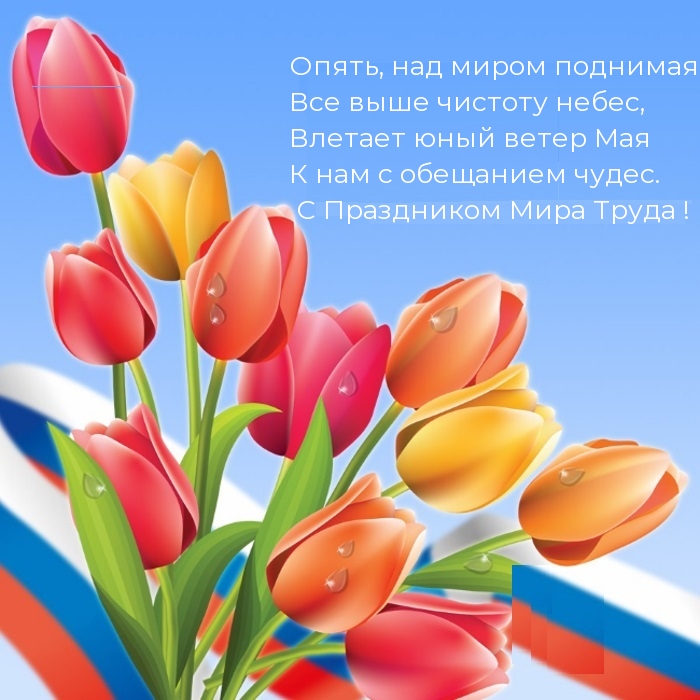 С Праздником Мира и Труда !