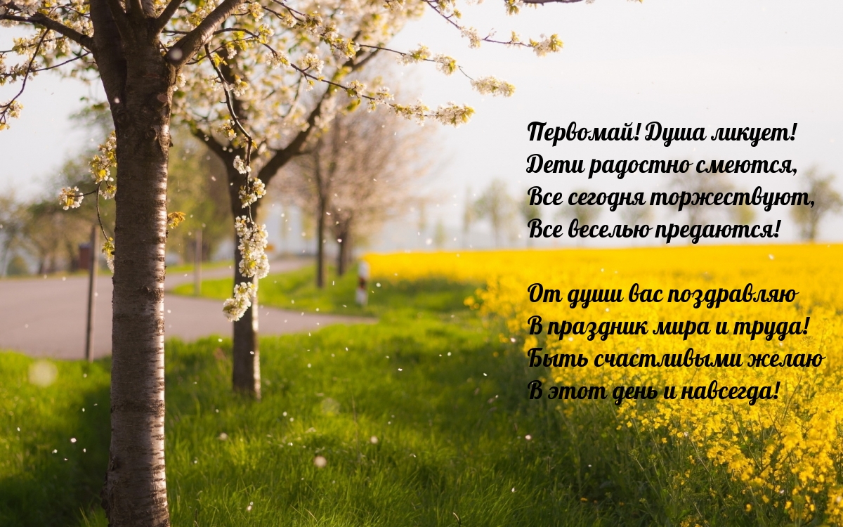 От души вас поздравляю в праздник мира и труда!