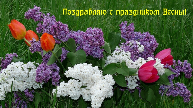 Поздравляю с праздником Весны!