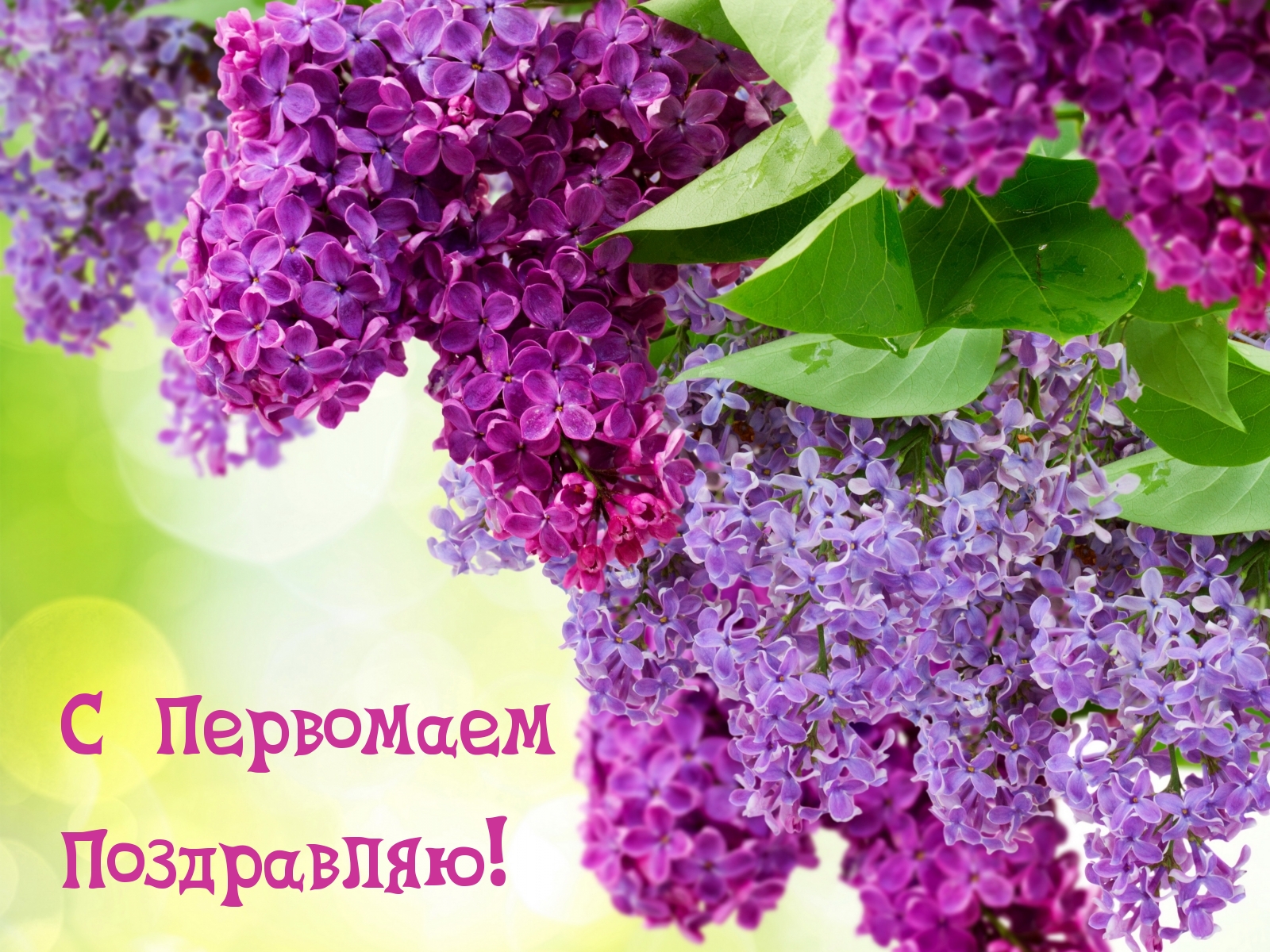 С Первомаем Поздравляю!