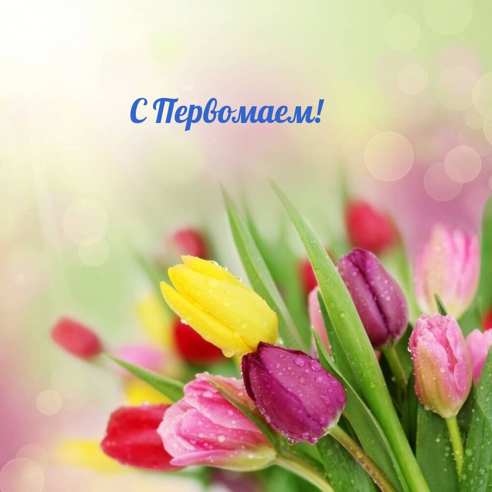 С Первомаем!