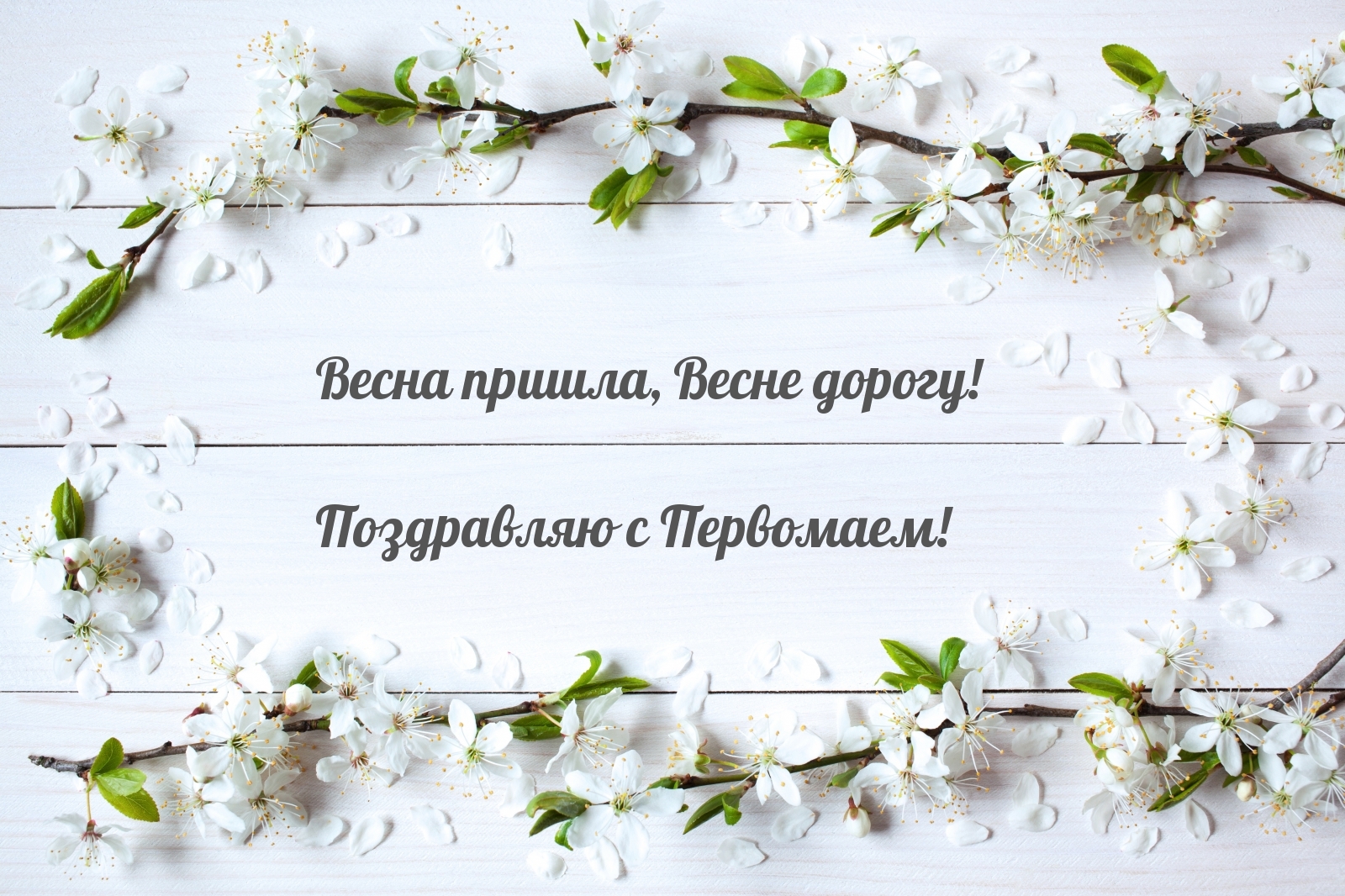 Весна пришла, Весне дорогу! с Первомаем!