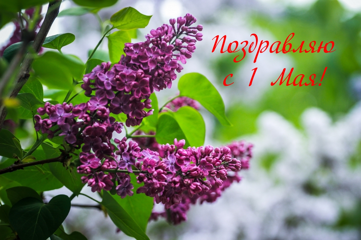 Поздравляю с 1 Мая!