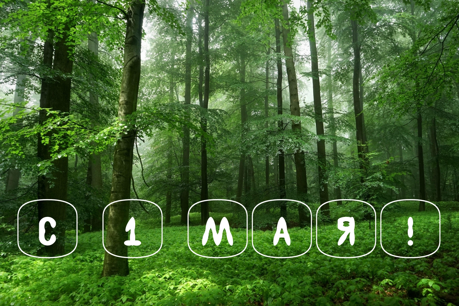 С 1 МАЯ!