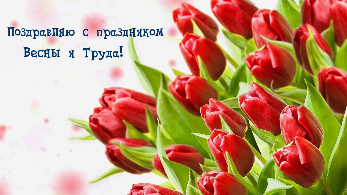 Поздравляю с праздником Весны и Труда!