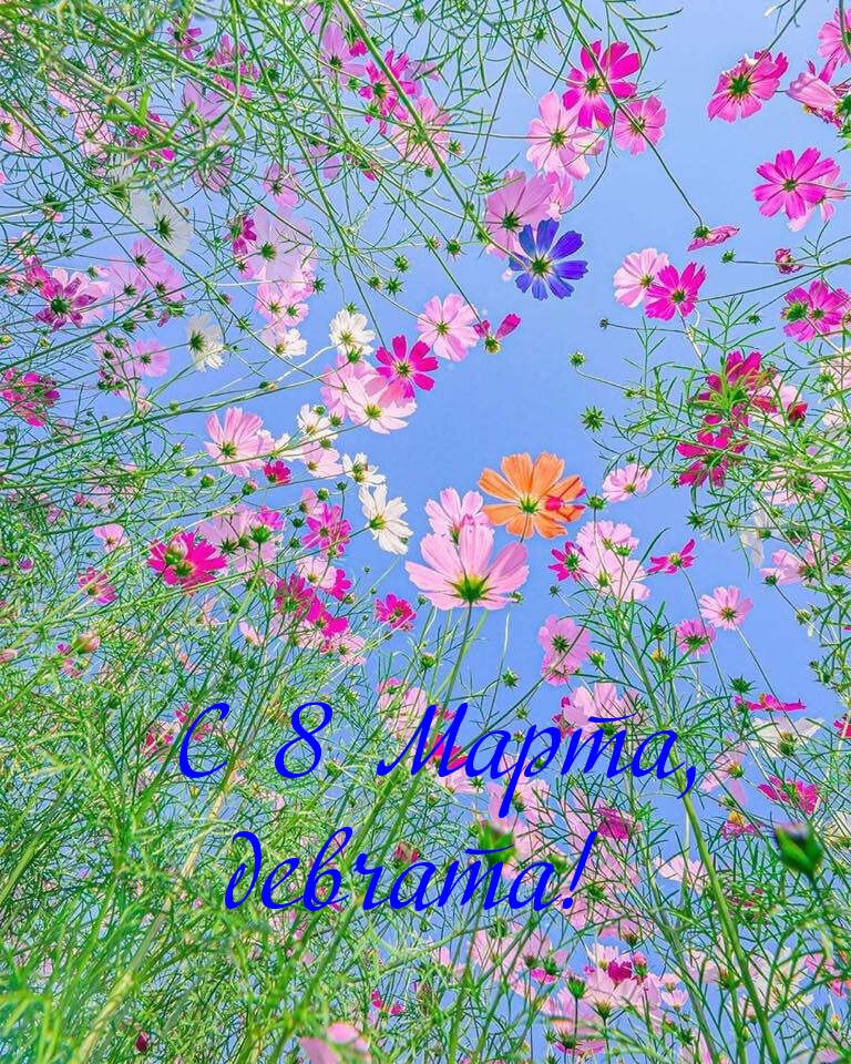 С 8 Марта, девчата!