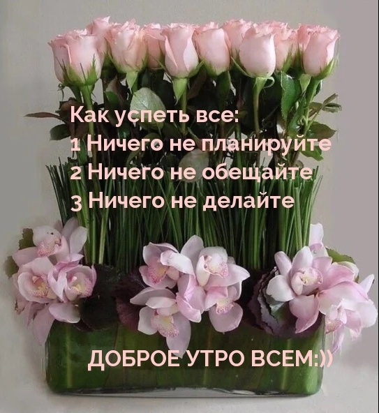 Доброе утро! Как успеть все?