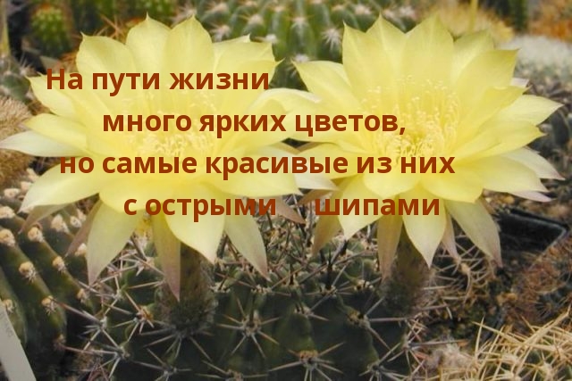 На пути жизни много ярких цветов