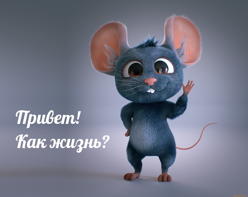 Привет! Как жизнь?
