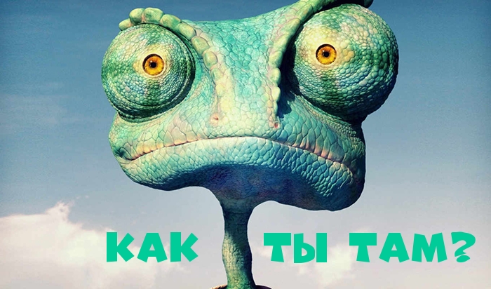 Как ты там?