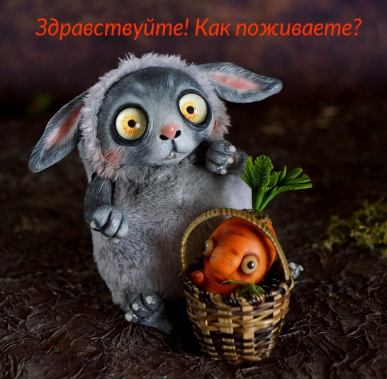 Здравствуйте! Как поживаете?