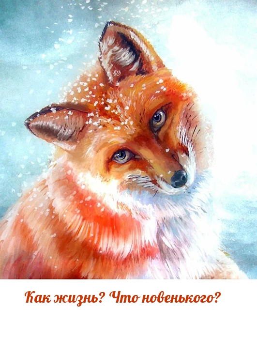 Как жизнь? Что новенького?