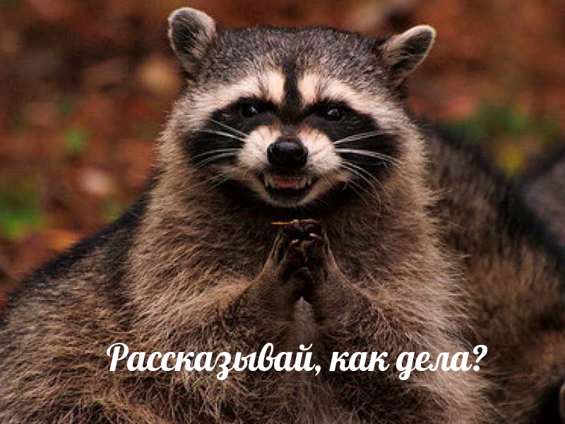 Рассказывай, как дела?