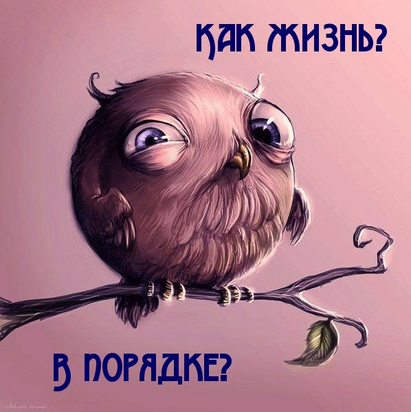 Как жизнь? В порядке?