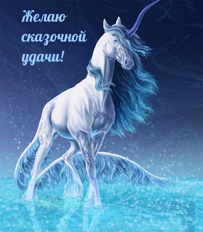 Желаю сказочной удачи!