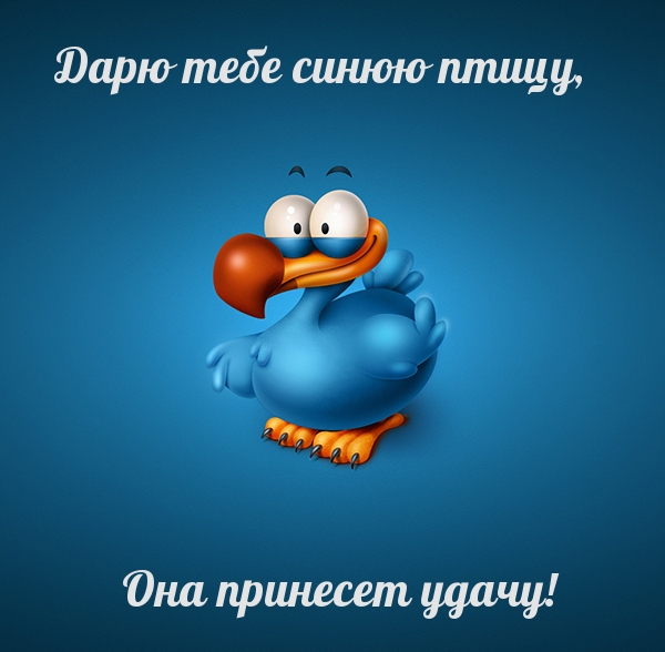 Она принесет удачу!