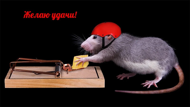 Желаю удачи!