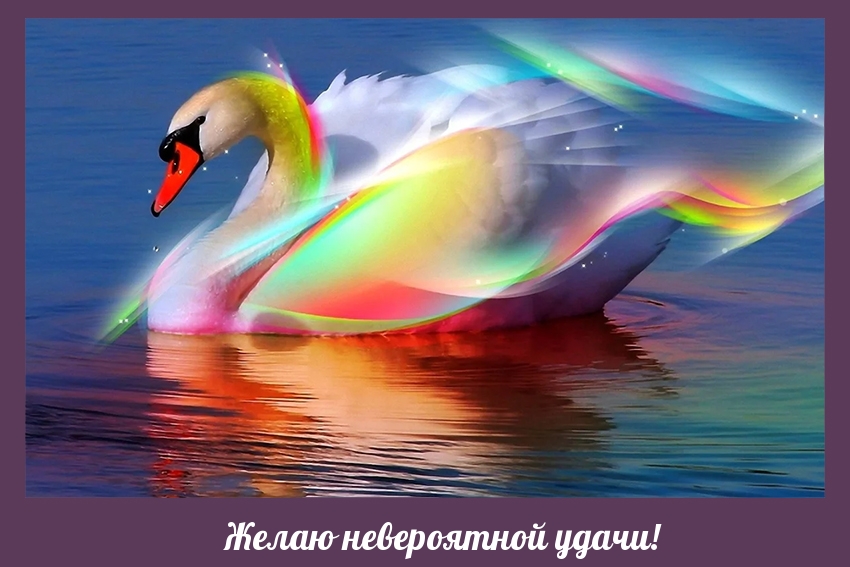 Желаю невероятной удачи!
