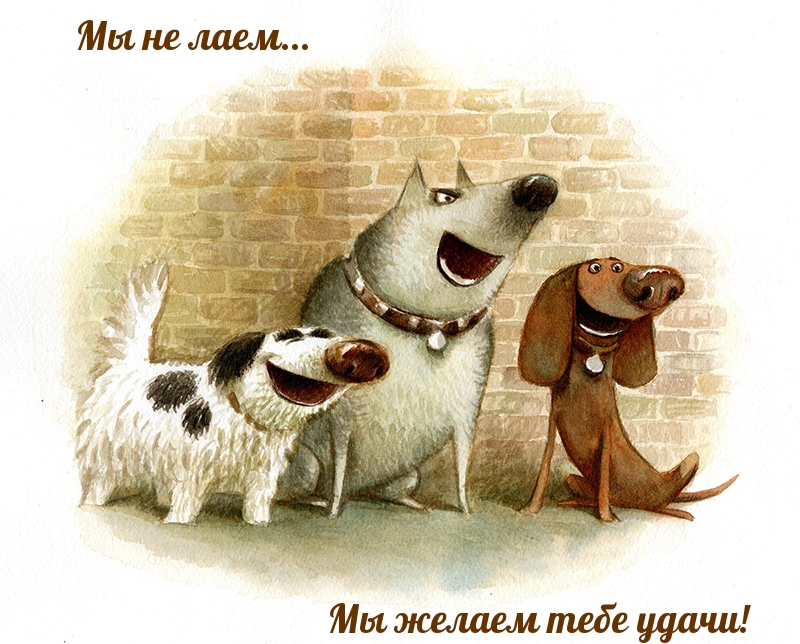 Мы желаем тебе удачи!