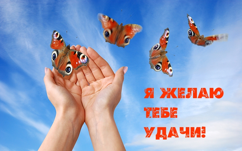 Я желаю тебе удачи!