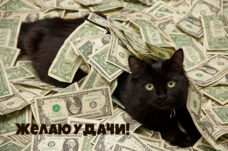Желаю удачи!