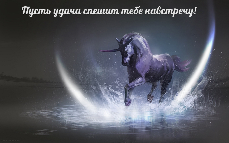 Пусть удача спешит тебе навстречу!