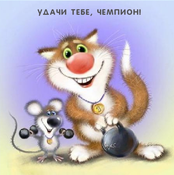 Удачи тебе, чемпион!