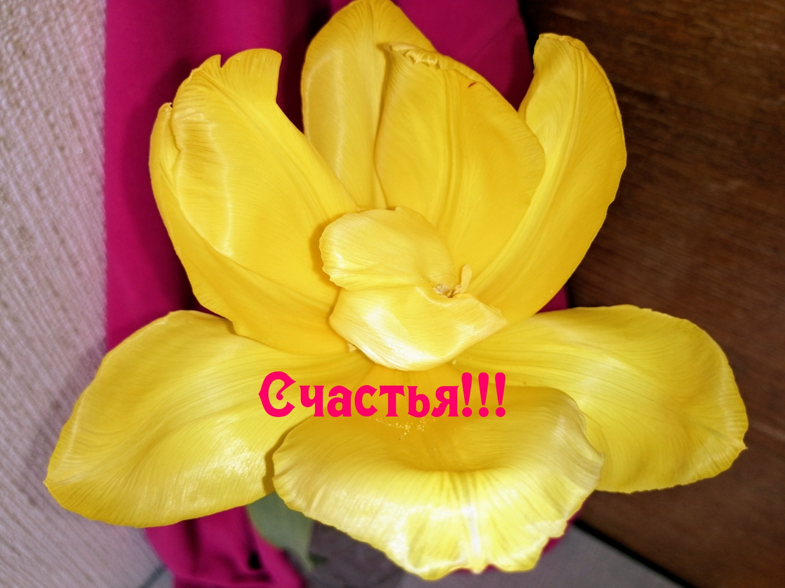 Счастья!