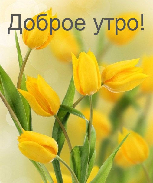 Доброе утро!