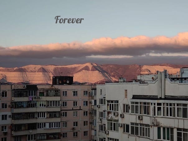 Forever ♡