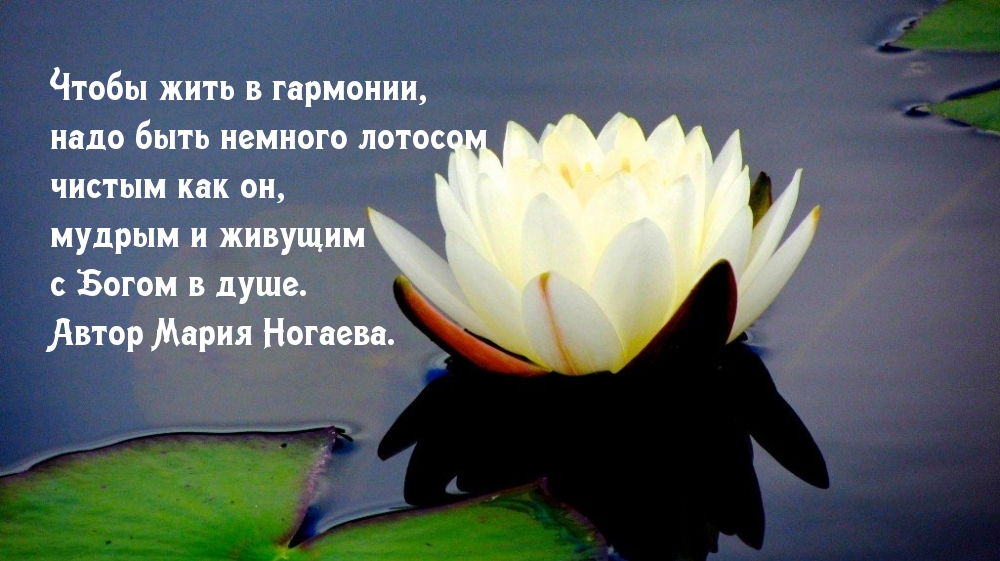 Чтобы жить в гармонии