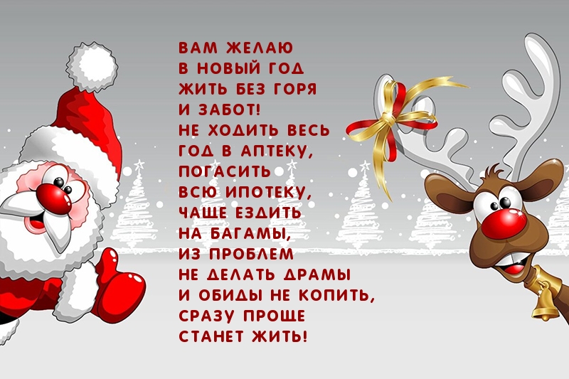 Желаю в Новый Год жить без забот!