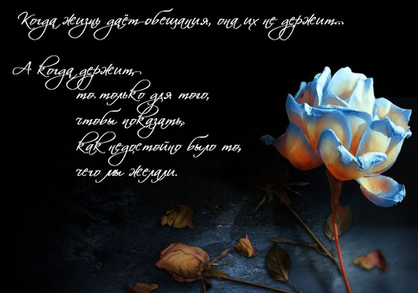 Обещания жизни в картинках