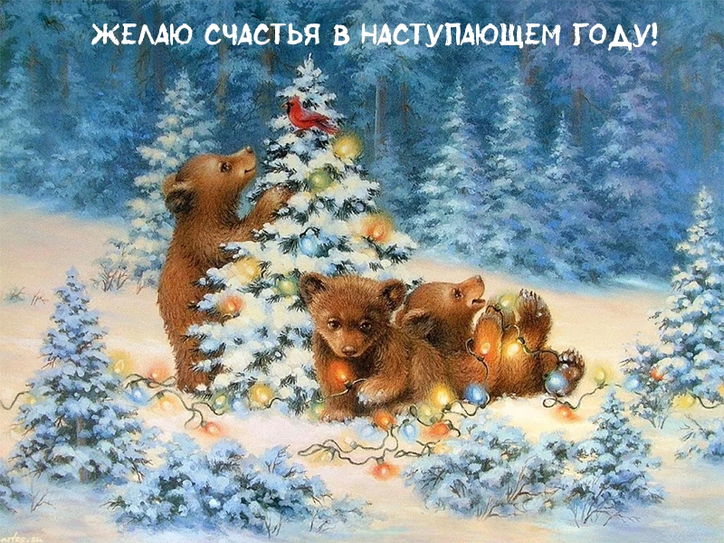 Желаю счастья в наступающем году!