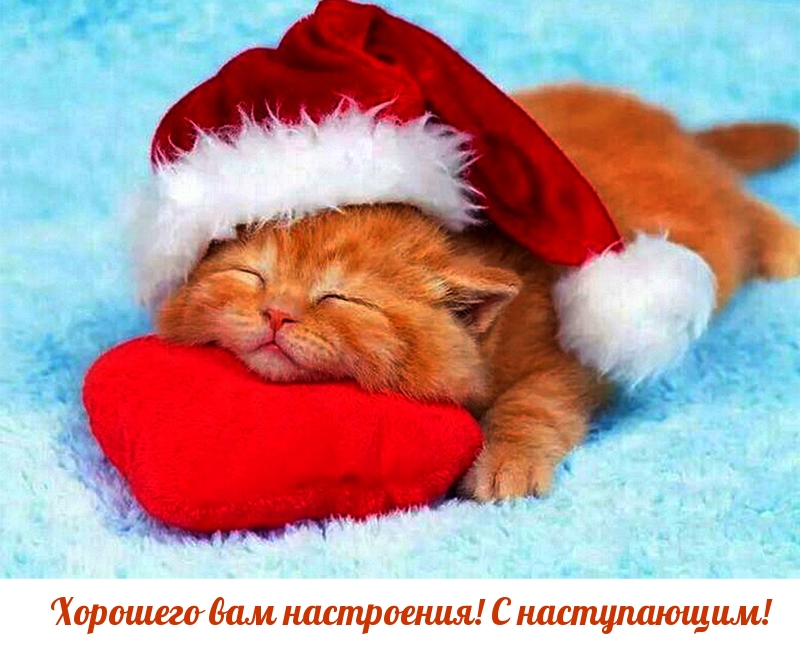 Хорошего вам настроения! С наступающим!